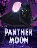 Mg เว็บไซต์สล็อตอย่างเป็นทางการ รีวิวเกมระดับพรีเมียม